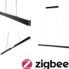 Lampa wisząca Paulmann 78024, 1 szt.