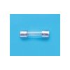 Belfuse 5ST 100-R Micro Fuse 100mA Time Delay Diameter5x20mm 100 pieces Bulk