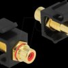 86744 Keystone Module RCA female > RCA female gold plated red / black