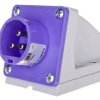 Wtyczka odbiornikowa 16A 3P 24V fioletowa IP44 563v