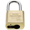 Burg Wächter 116PC50HB80 Niro Padlock Brass EU Cylinder Padlock