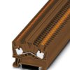 Through terminal block, push-in connection, 0.14-4.0 mm², 2 pole, 24 A, 8 kV, brown, 1037085