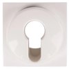 Berker/B.Kwadrat Element centralny łącznika na klucz S.1/B.3/B.7 Glas śnieżnobiały 15078989