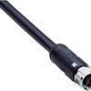 Złącze i kabel ze złączem Złącze M12 liczba rdzeni 4 długość 1.5m Rodzaj A Żeńskie