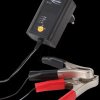 1001-0015 ANSMANN ALCS 2-12/0.4, charger for lead-acid batteries