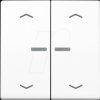 BTAS17102PWW Bluetooth pushbutton, dual, alpine white, arrow symbols