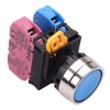 YW4B-M1E11S Blue 22mm Metal Bezel Momentary Push Button Switch 1NO-1NC IP65 IDEC