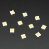 5050 Cool White LED w/ Integrated Driver Chip - 10 Pack (~6000K)