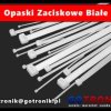 Opaska zaciskowa 2,2x100 mm biała 