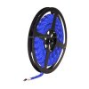 Taśma* blue 3528 IP65 5m/300 8bi Oro-5127