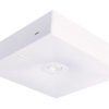 Oprawa awaryjna natynkowa STARLET QUAD SO 150 NM 1H AT biała 92803 INTELIGHT