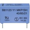 Kondensator tłumiący Y1 MKP, Epcos B81123-C1222-M, 2.2 nF, 250 V/50-60 Hz,