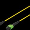 DK-2966-05 Fiber optic patch cable, OS2, MPO, yellow, 5 m