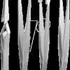 77101 4-piece tweezer set